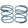 Raybestos H1341 Raybestos R-Line Parking Brake Strut Spring