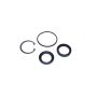 SUNSONG 8401481 Steering Gear Pitman Shaft Seal Kit