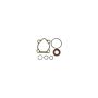 SUNSONG 8401507 Power Steering Pump Seal Kit