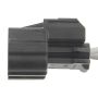 Standard Motor Products S-1824 Fog Lamp Connector