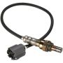 SPECTRA PREMIUM OS5081 Oxygen Sensor