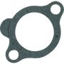 STANT GAS CAPS 27167 Stant Engine Coolant Thermostat Gasket