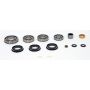 SKF STCK4405 Transfer Case Rebuild Kit