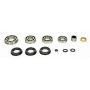 SKF STCK4405-AA Transfer Case Rebuild Kit