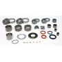 SKF STK300-ZF Manual Transmission Bearing And Seal Rebuild Kit