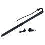 TUFF SUPPORT 615147 Liftgate Lift Support