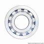 TIMKEN R1561TV Cylindrical Bearing