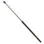 TRW TSG229038 TRW Gas Spring