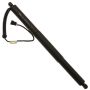 TRW TSG367049 TRW X-Tend powered lift support