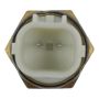 TRUE-TECH SMP TX218T Coolant Temperature Sensor