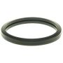 MotoRad MG172 Engine Coolant Thermostat Seal