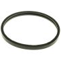 MotoRad MG24 Engine Coolant Thermostat Seal