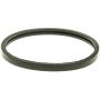 MotoRad MG24EA Engine Coolant Thermostat Seal