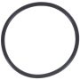 MotoRad MG28 Engine Coolant Thermostat Seal
