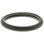 MotoRad MG29 Engine Coolant Thermostat Seal