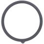 MotoRad MG319EA Engine Coolant Thermostat Seal