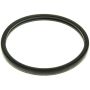 MotoRad MG81EA Engine Coolant Thermostat Seal