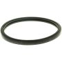 MotoRad MG81EA Engine Coolant Thermostat Seal