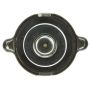 MotoRad T20 Standard Steel Radiator Cap