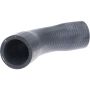 URO Parts 1112030282 Water Pump Hose
