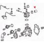 URO Parts 1192030382 Water Pump Hose