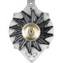 REMY ELECTRICAL 21810 Remanufactured Alternator