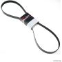 GATES 17325AP Automotive High Capacity V-Belt