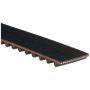 GATES T217 Premium Automotive Timing Belt