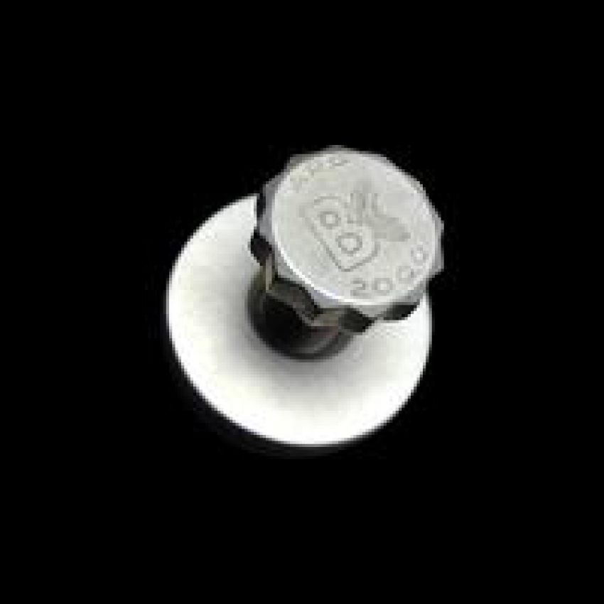 Brian Crower BC8890 Toyota 2JZ/1JZ Cam Gear Bolt w/ Washer