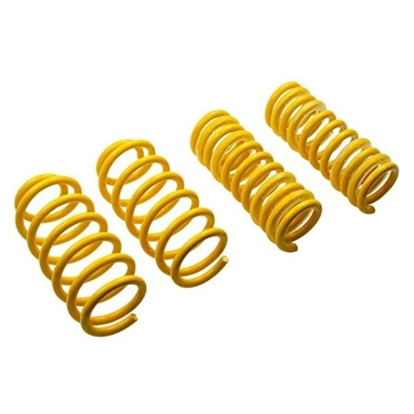 Suspension (65835 ST LOWERING SPRINGS)