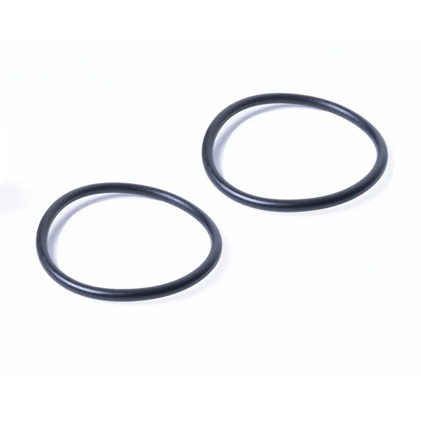 RACING POWER CO-PACKAGED RPCR9243 Replacement O-Ring For Chevy Water Neck (2)