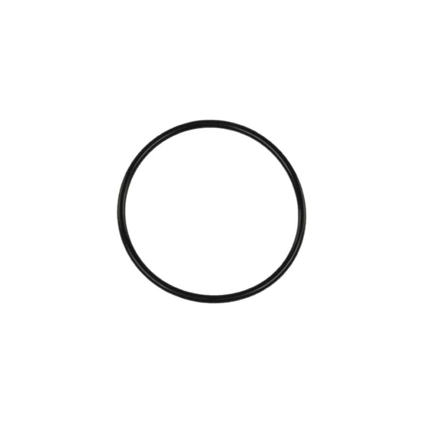 Turbosmart BOV Race Port flange O-Ring