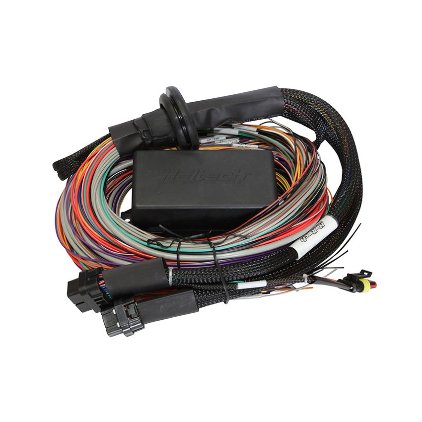 Haltech HT-140904 Elite 1500 8ft Premium Universal Wire-In Harness