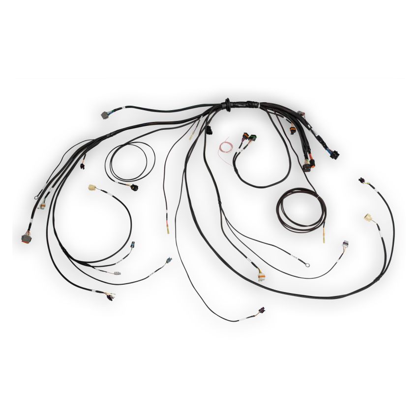 Haltech HT-186500 NEXUS Rebel LS Terminated Harness for ECU