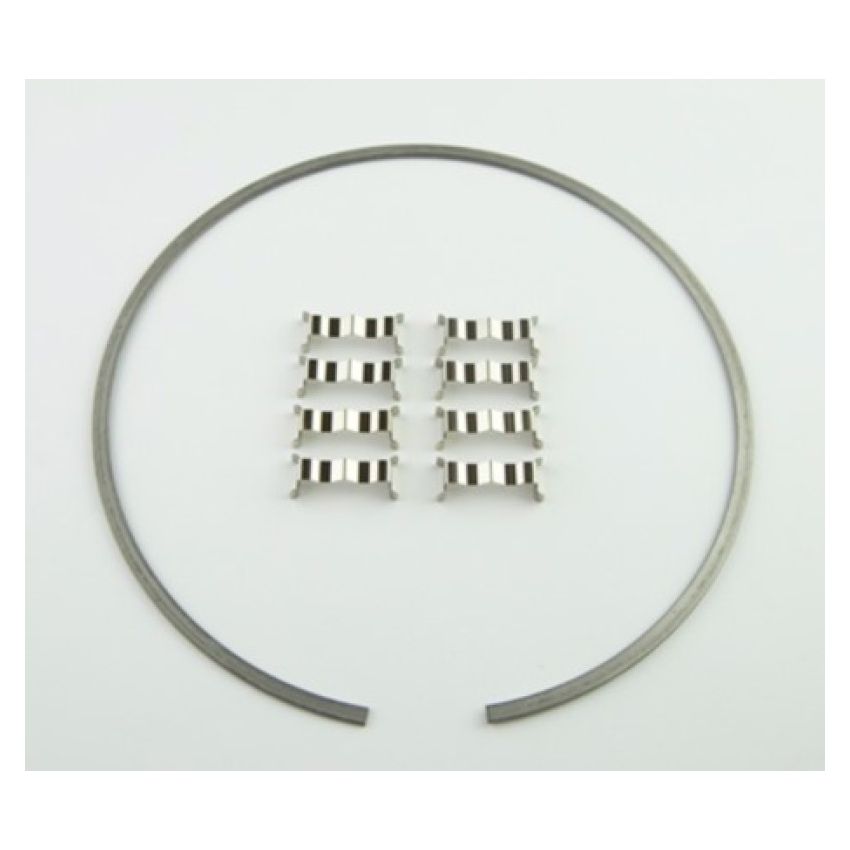 Wilwood 300-12561 Kit Snap Ring (1) and Wear Plates (8) Dynamic Drag Rotor