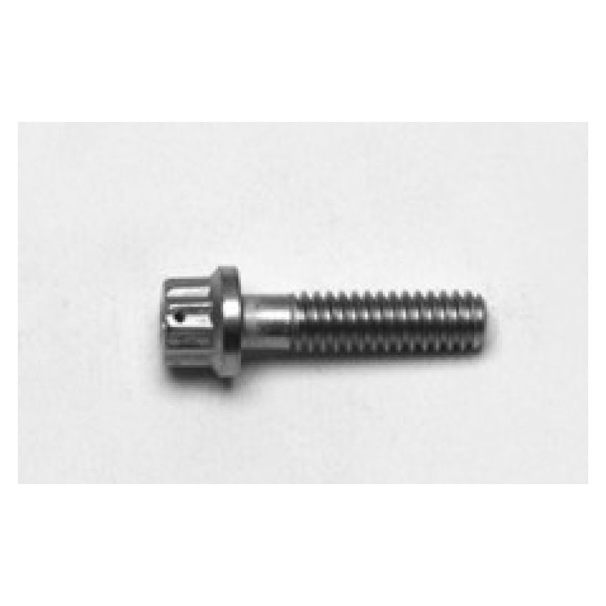 Wilwood 230-6737 1/4-20 x 1.00 LG - 12 PTCS - LWD Stainless Replacement Bolt