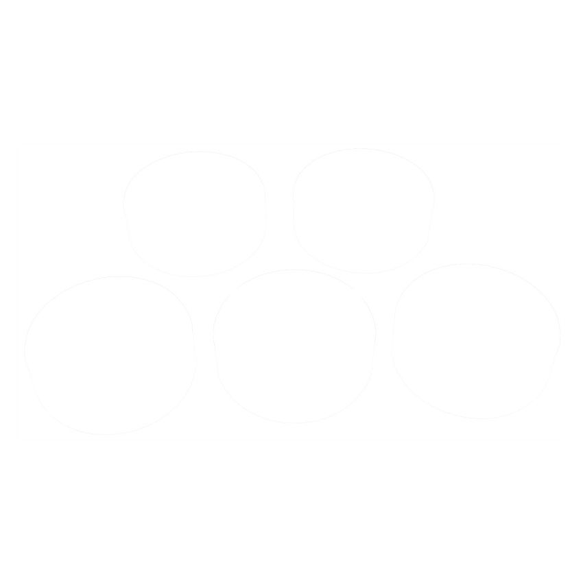 Clevite Chevrolet V8 4.8L-5.3L-6.0L-6.2L-7.0L 2003-2010 Camshaft Bearing Set