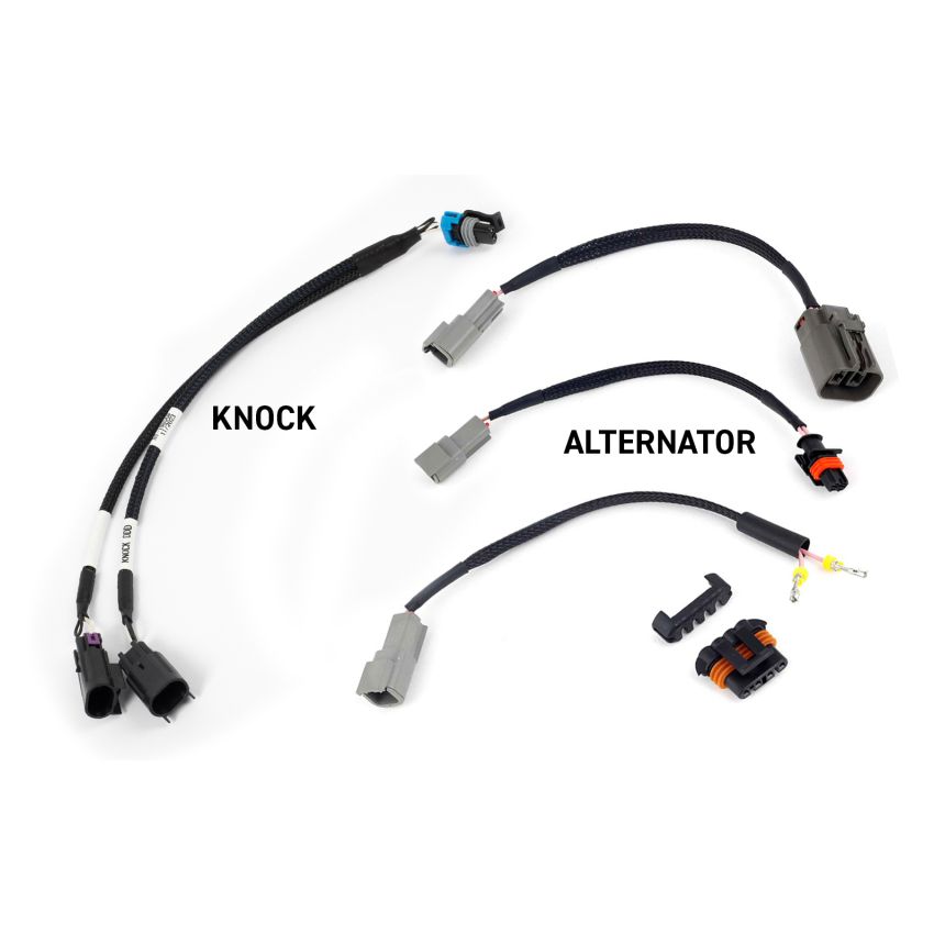 Haltech HT-220201 NEXUS Rebel LS Gen III Cable Throttle/EV1 Injectors/Manual Transmission
