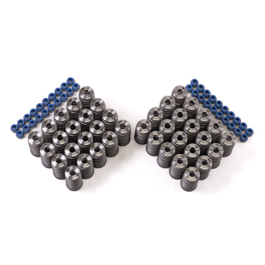 GSC Power Division 5025 GSC P-D Audi R8 V10 / Lamborghini Huracan V10 5.2L Valve Spring & Ti Retainer Kit (w/Seats & Seals)