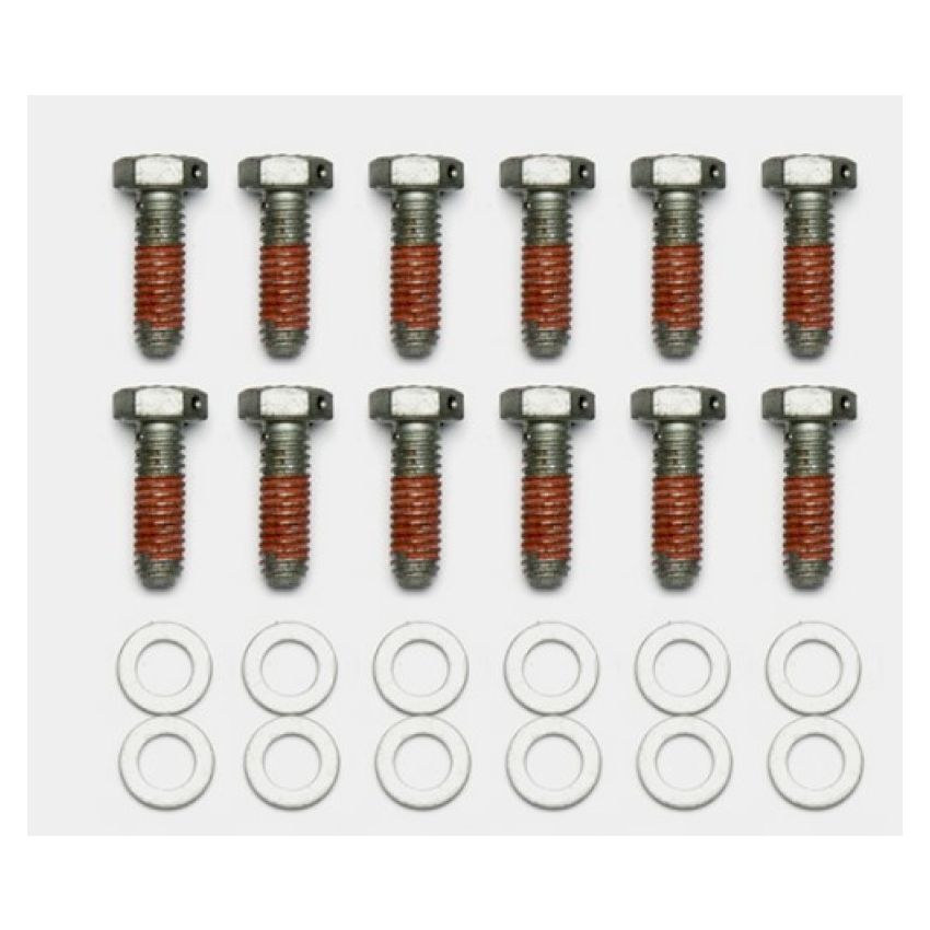 Wilwood 230-14086 Bolt Kit - 5/16-18 x 1.00 LG - 12 pk