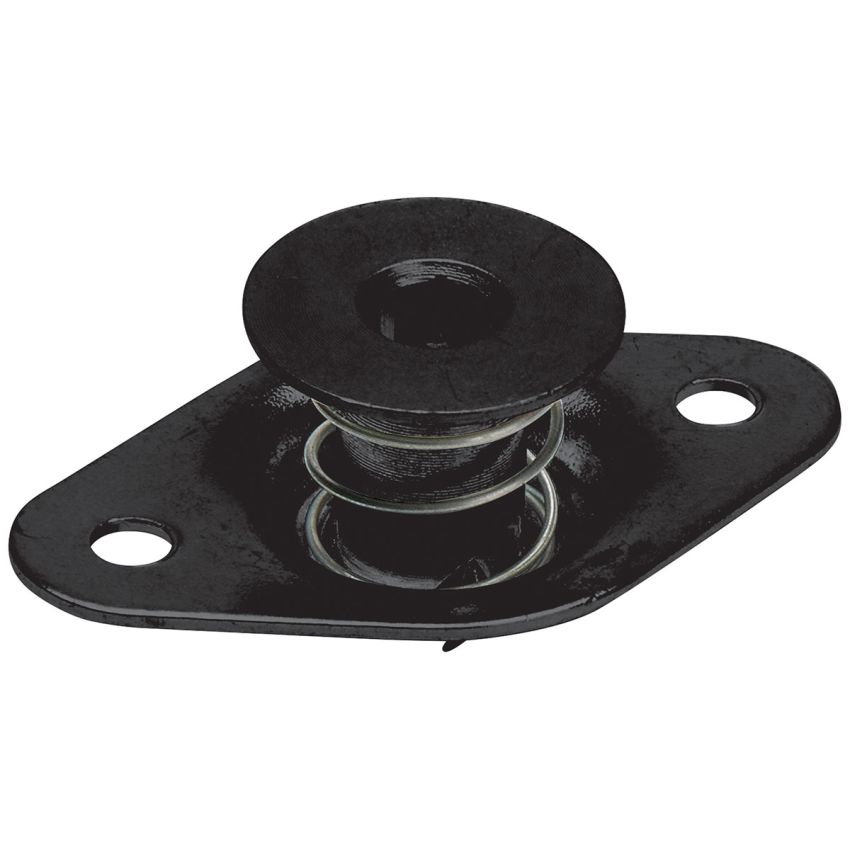 ALLSTAR PERFORMANCE ALL19129 Allen Hd S/E Fasteners 5/16 .500in 50pk Alum