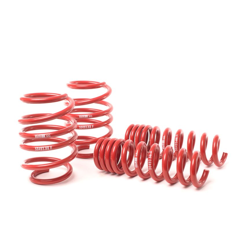 H&R 08-13 BMW M3 Coupe/M3 Sedan E92 Race Spring