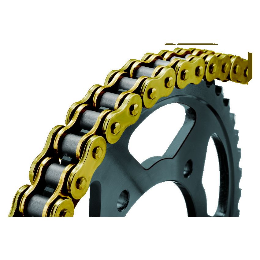 BikeMaster 197438 530x150 BMZR Z-Ring Chain - Gold/Gold