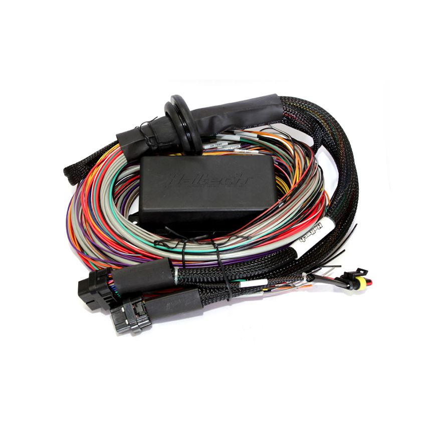 Haltech HT-141304 Elite 2500/2500 T 8ft Premium Universal Wire-In Harness
