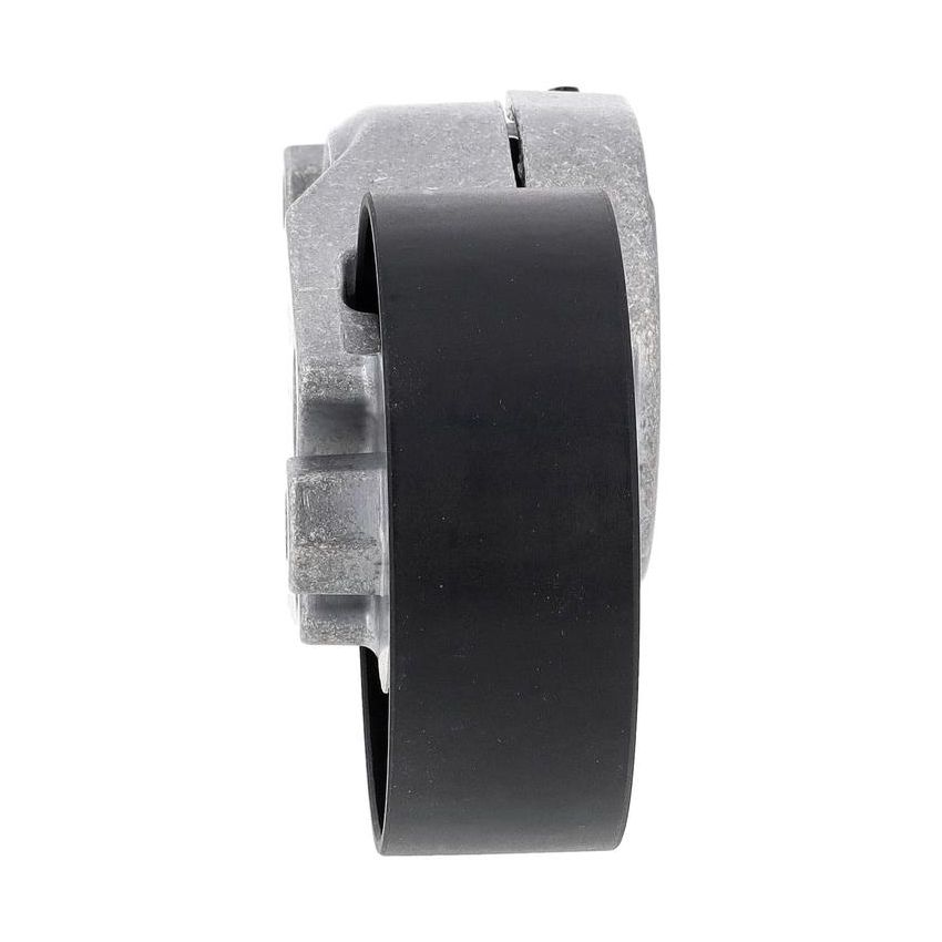 ACKOJA A70-0667 Polea tensora, correa poli V