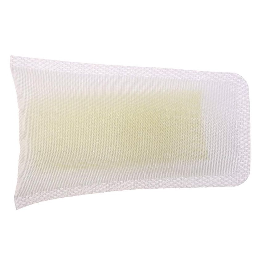 CARTER FUEL PUMPS STS-135 Fuel Pump Strainer