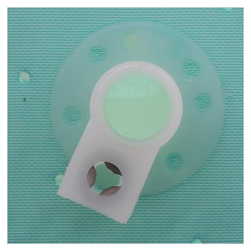 CARTER FUEL PUMPS STS-250 Fuel Pump Strainer