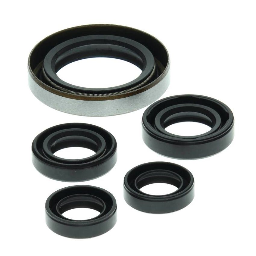 Vertex Pistons 822249 Vertex Gaskets 06-07 Polaris Outlaw 500 Oil Seal Kit