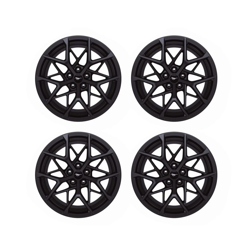 Ford Racing M-1007K-MACH1H 2015-2023 Mustang Mach 1 19