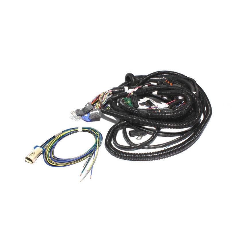 FAST Wiring Harness FAST Main LT1